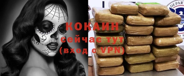 гидропоника Иннополис
