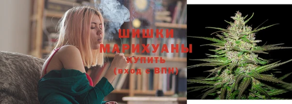 прущие грибы Каменка
