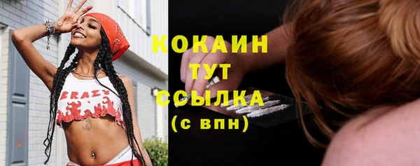 гидропоника Иннополис