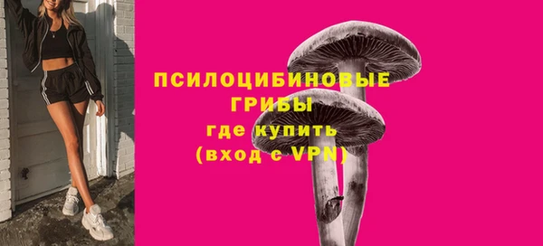 хмурый Каменногорск