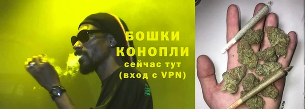 гидропоника Иннополис