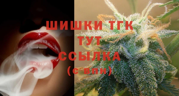 гидропоника Инсар