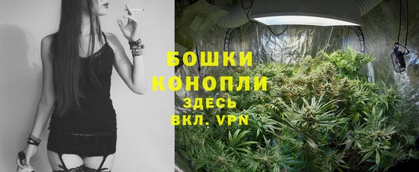 гидропоника Иннополис