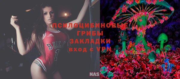 гидропоника Инсар