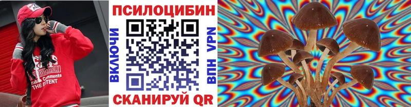 Купить  Тогучин  Галлюциногенные грибы мухоморы 