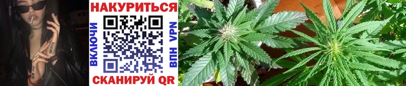 Купить где Тогучин Бошки марихуана LSD WEED